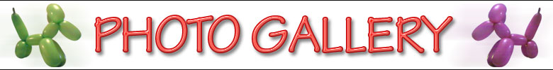 gallerybanner.jpg